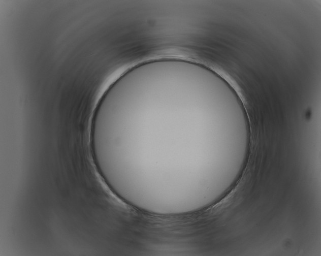 X0000091711477200708240945