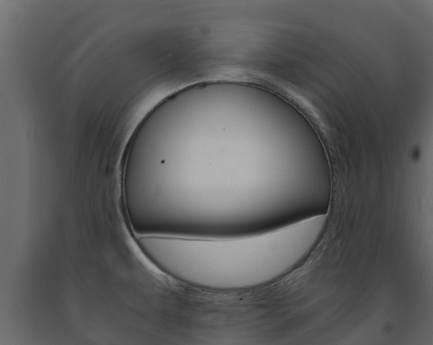 X0000091711479200708240945