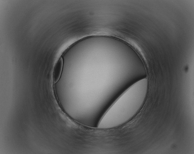 X0000091711480200708240945