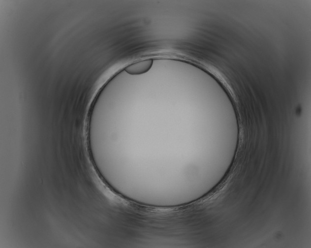 X0000091711482200708240945