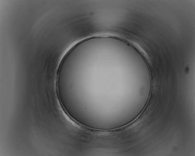 X0000091711484200708240945