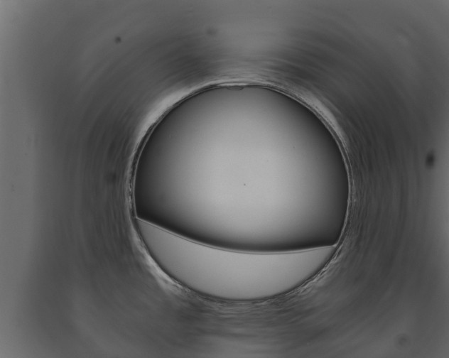 X0000091711485200708240945