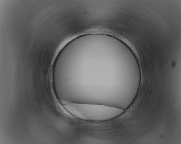 X0000091711486200708240945
