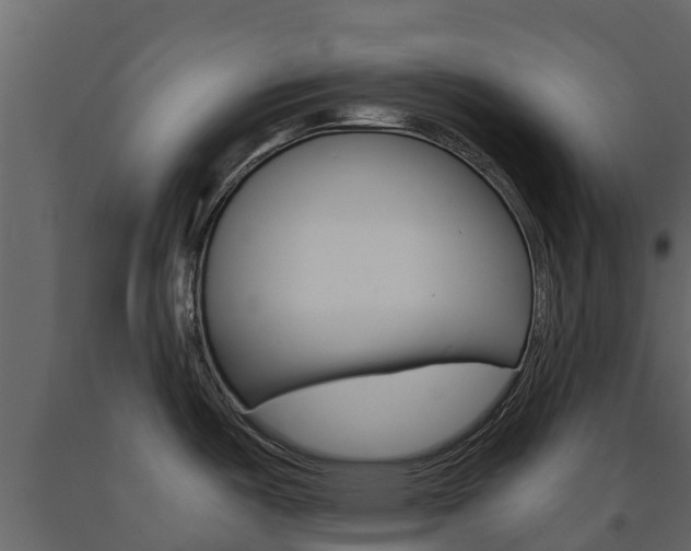 X0000091711487200708240945