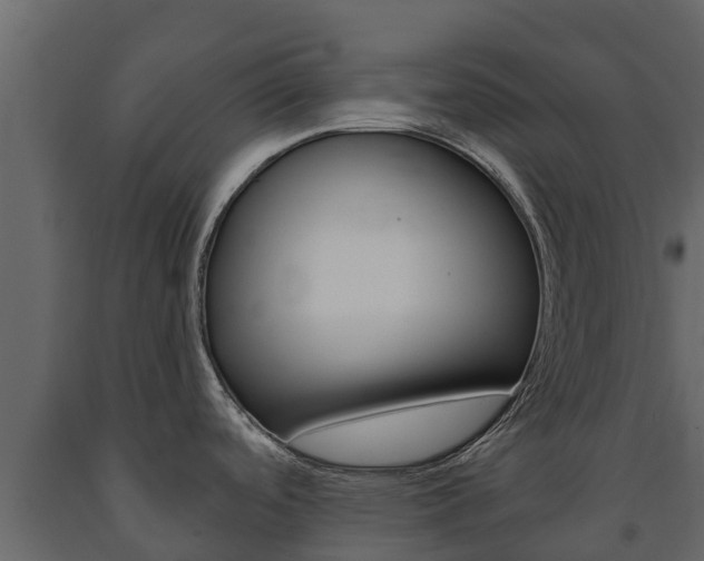X0000091711488200708240945