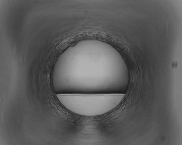 X0000091711489200708240945
