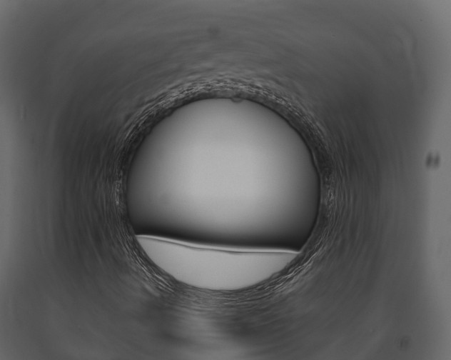 X0000091711490200708240945