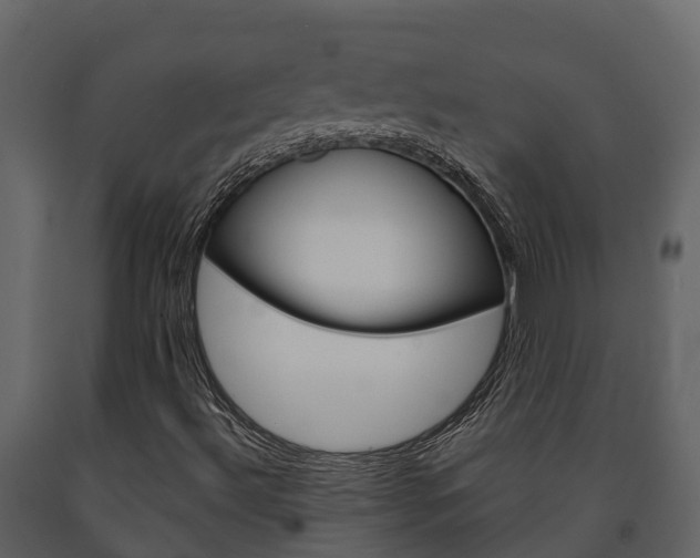 X0000091711492200708240945