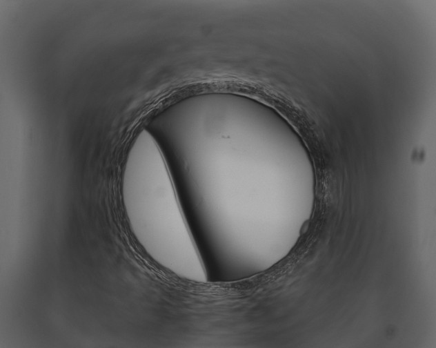 X0000091711493200708240945
