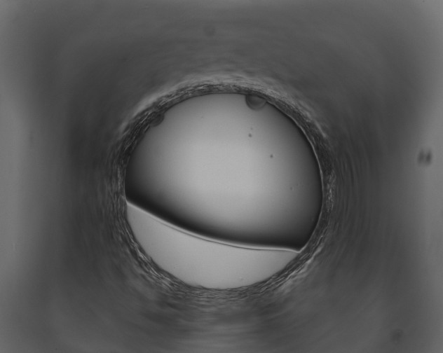 X0000091711494200708240945
