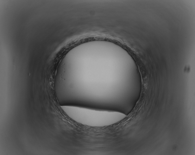X0000091711495200708240945