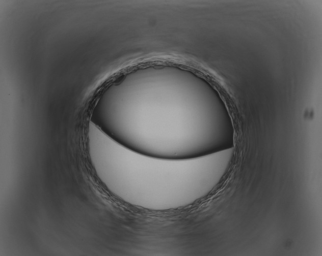 X0000091711496200708240945