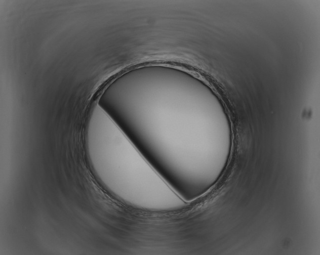 X0000091711497200708240945