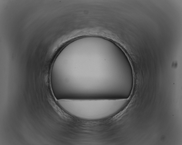 X0000091711499200708240945