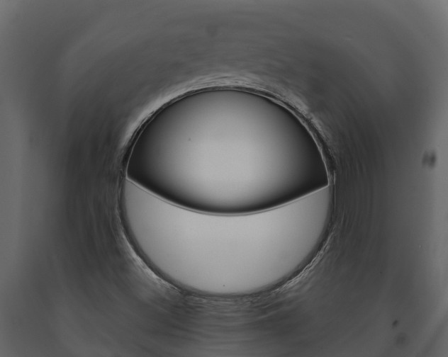 X0000091711500200708240945