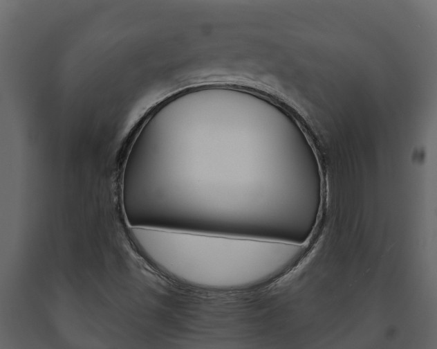X0000091711501200708240945