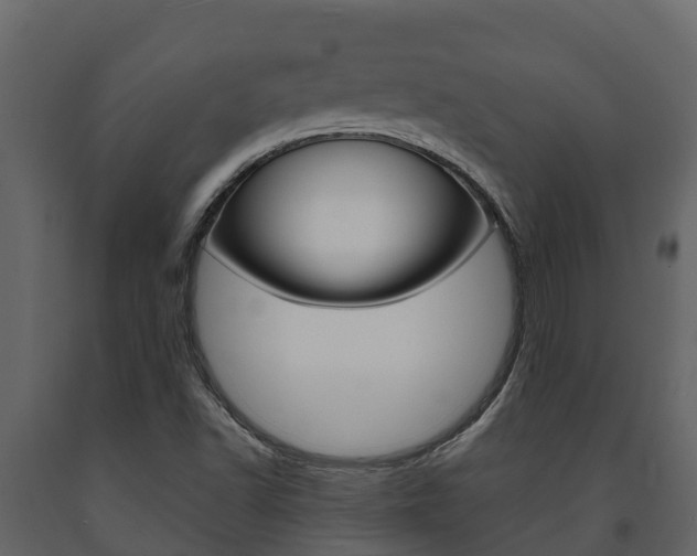 X0000091711502200708240945