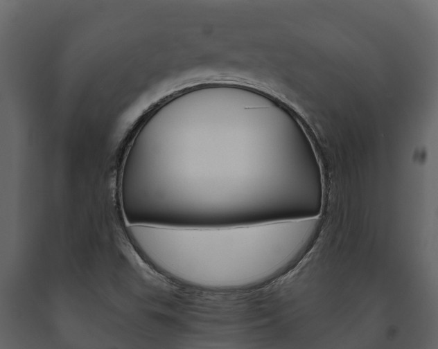 X0000091711503200708240945