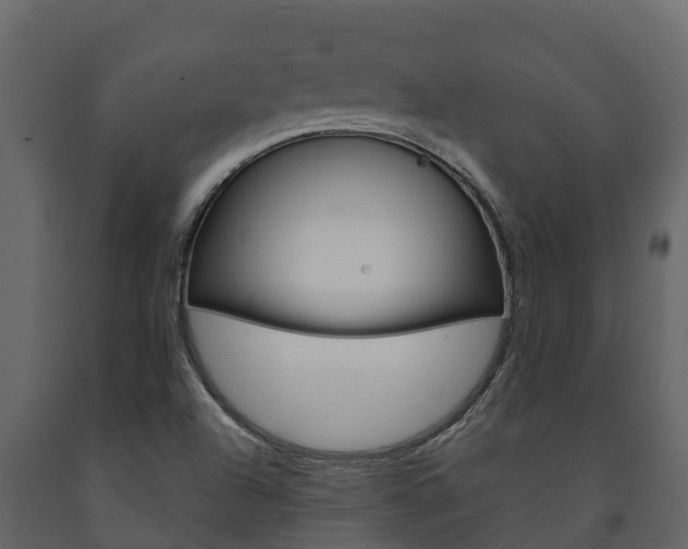 X0000091711504200708240945