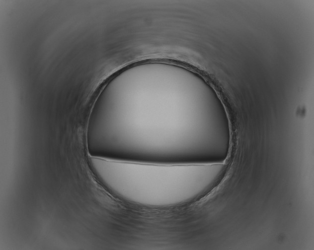 X0000091711505200708240945