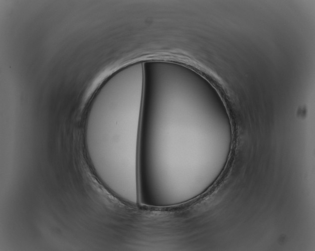 X0000091711506200708240945