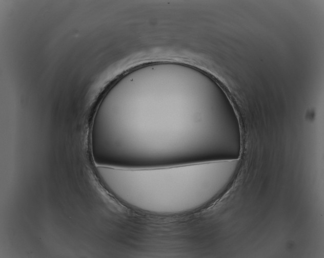 X0000091711507200708240945