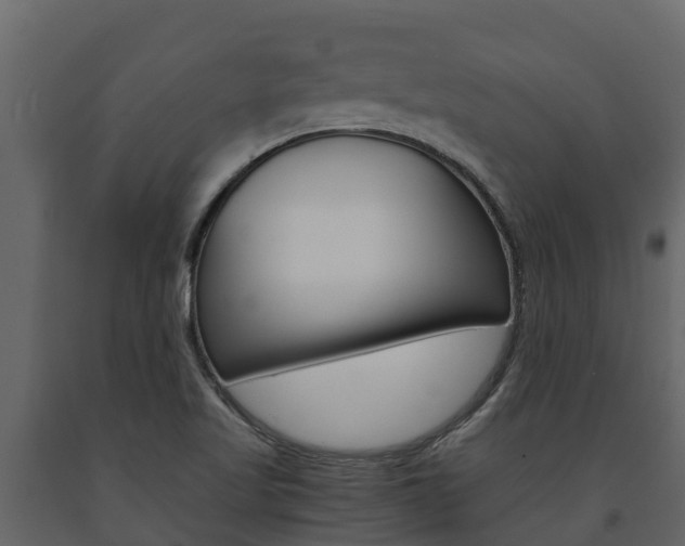 X0000091711509200708240945