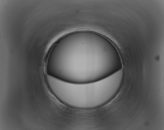 X0000091711510200708240945