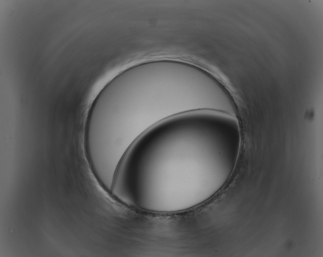 X0000091711512200708240945