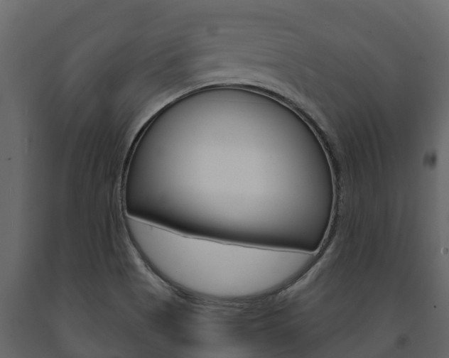 X0000091711513200708240945