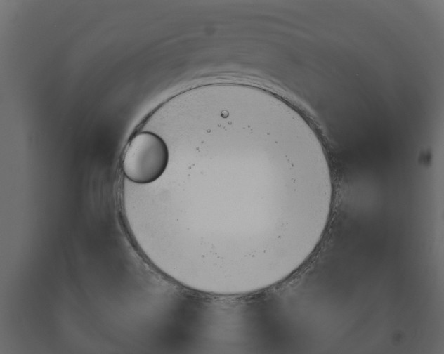 X0000091711514200708240945