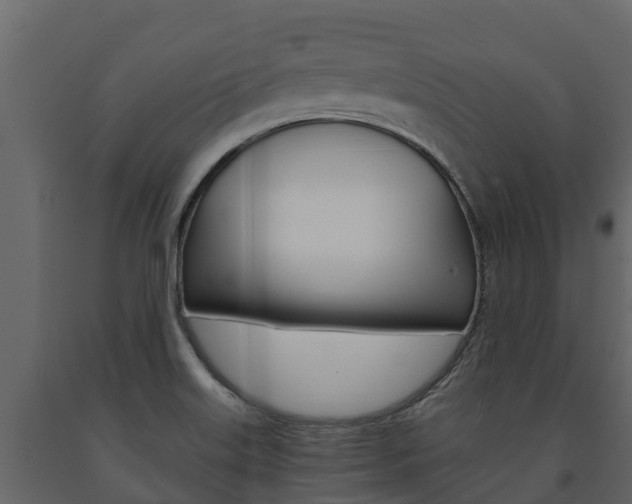 X0000091711515200708240945