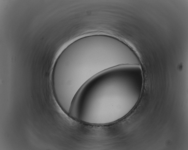 X0000091711516200708240945