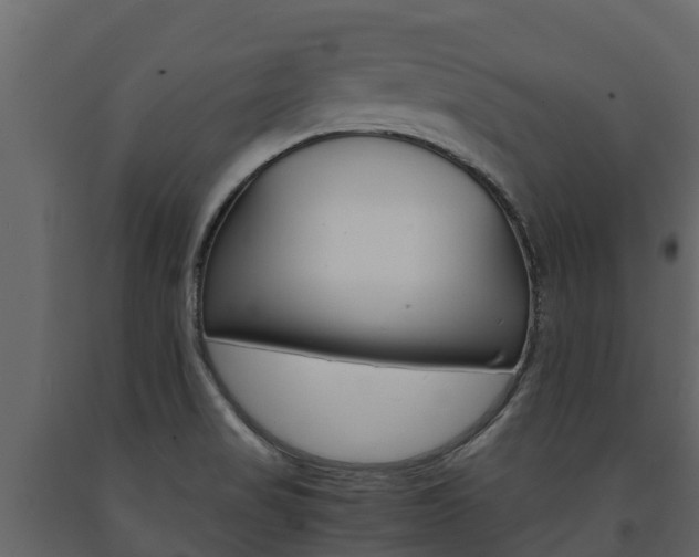 X0000091711517200708240945