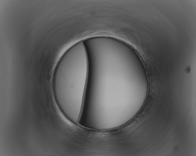 X0000091711519200708240945