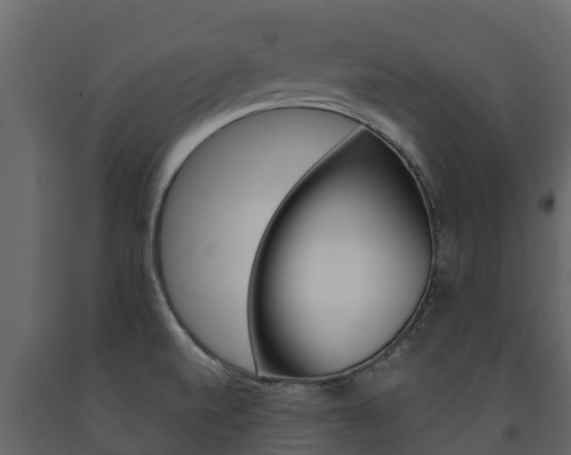 X0000091711520200708240945