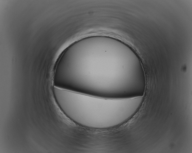 X0000091711522200708240945