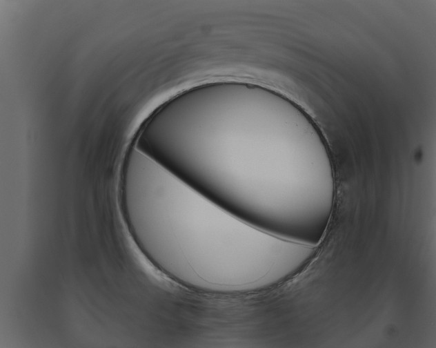 X0000091711523200708240945