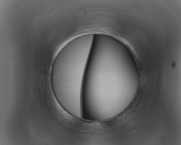 X0000091711524200708240945