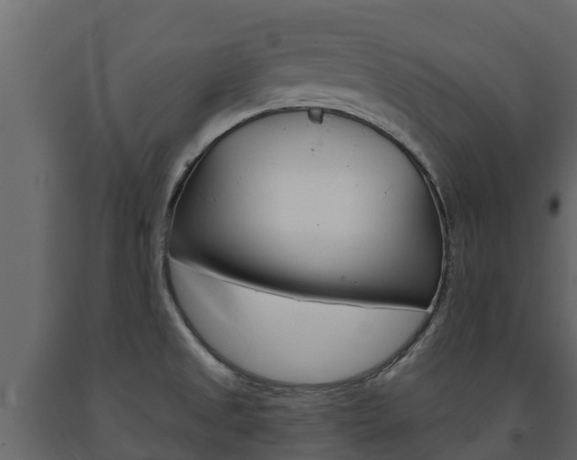 X0000091711525200708240945