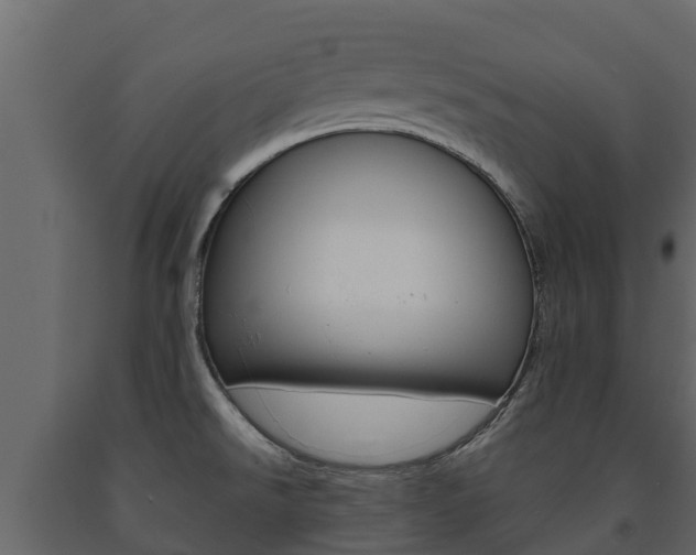 X0000091711526200708240945