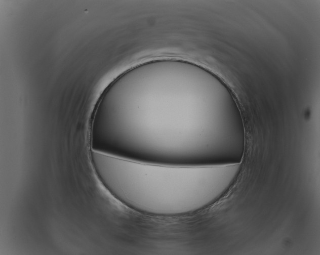 X0000091711527200708240945