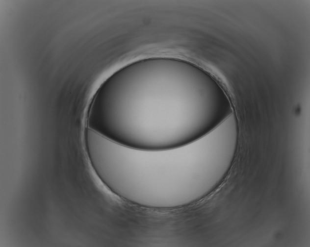 X0000091711528200708240945