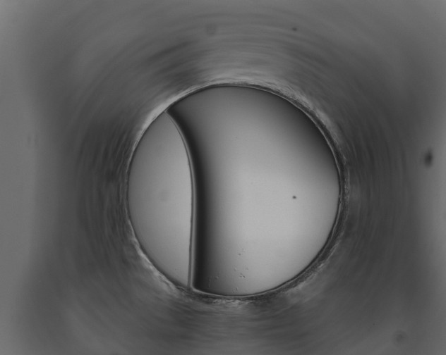 X0000091711529200708240945