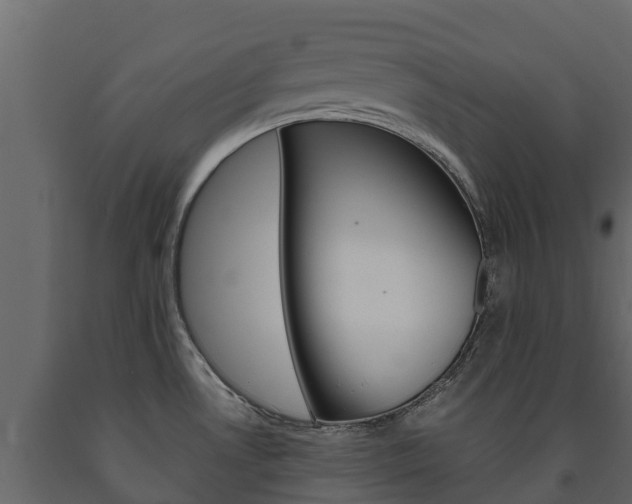 X0000091711530200708240945