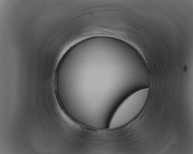 X0000091711531200708240945