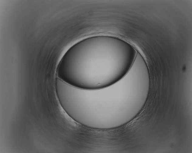 X0000091711532200708240945