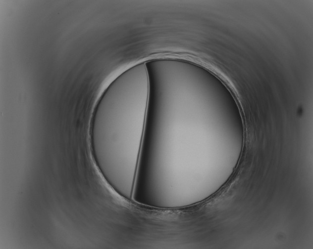 X0000091711533200708240945