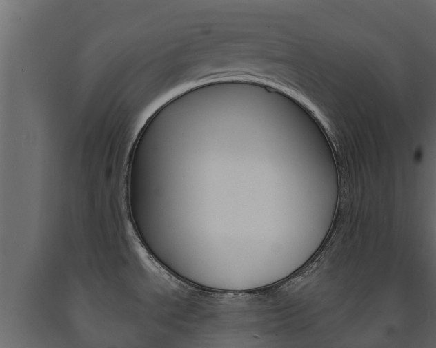 X0000091711534200708240945