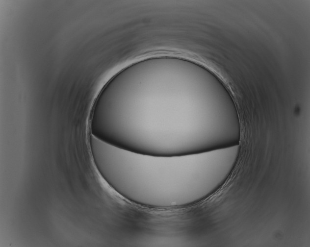 X0000091711535200708240945